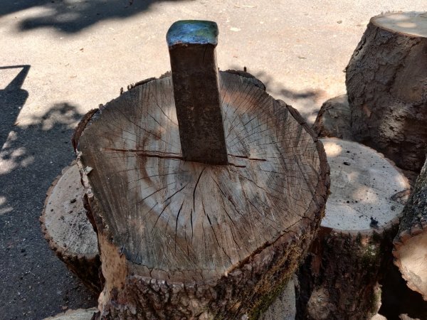 2020-06-08 13.23.22.jpg