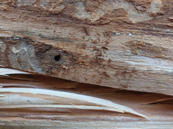 2020-06-08 13.45.06.jpg