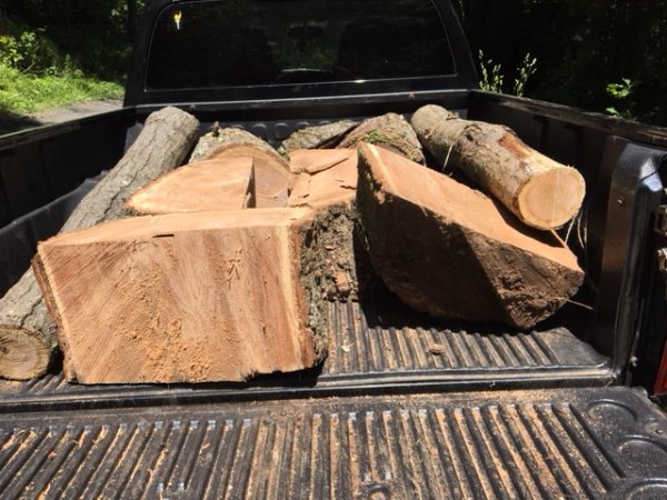 OAK.JPG
