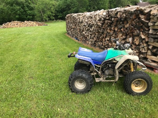 blaster by piles.jpg