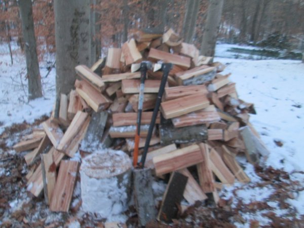 IMG_1459.JPG