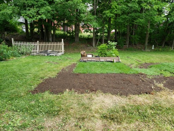 First raised bed gone.jpg