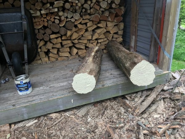 Painted white oak ends.jpg