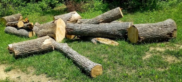 20200701_162119.jpg