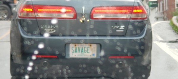 Savage license plate.jpg