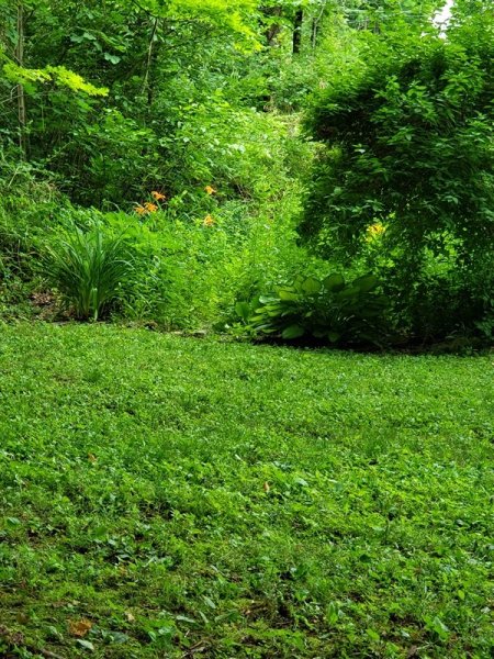 View from sitting area without fence2.jpg