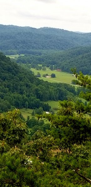 20200723_190532.jpg