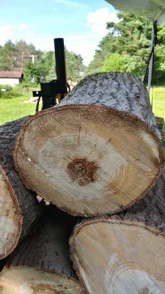 20200726_175834_HDR.jpg