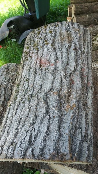 20200726_175837.jpg