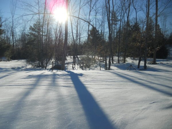 big snow feb 2013 026.jpg