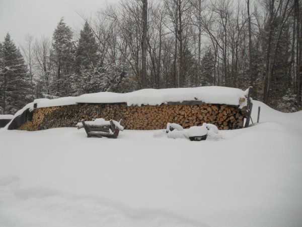 DSCN8540.jpg