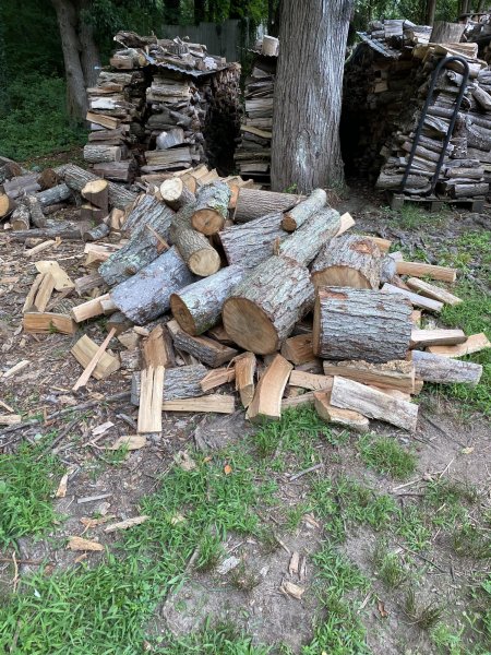 Red maple score | Firewood Hoarders Club