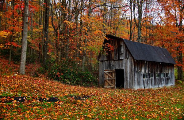 Barn-autumn.jpg