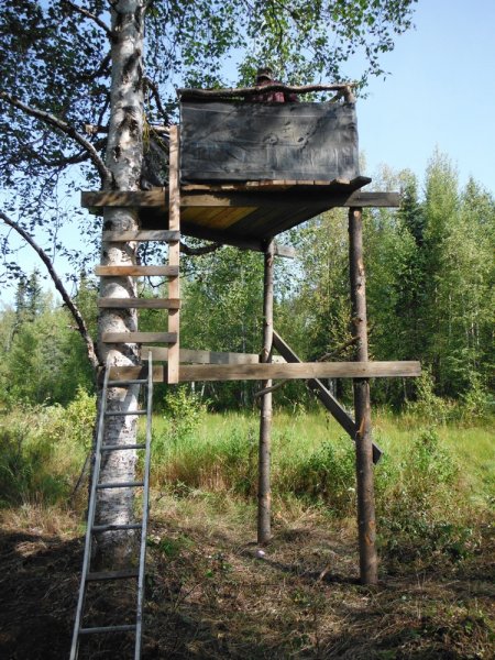 DSCF3561.JPG