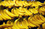 bananas.png