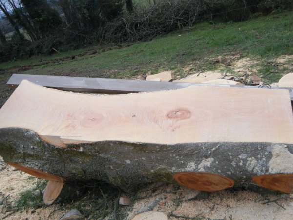 DSCF0102 - Copy (2).jpg