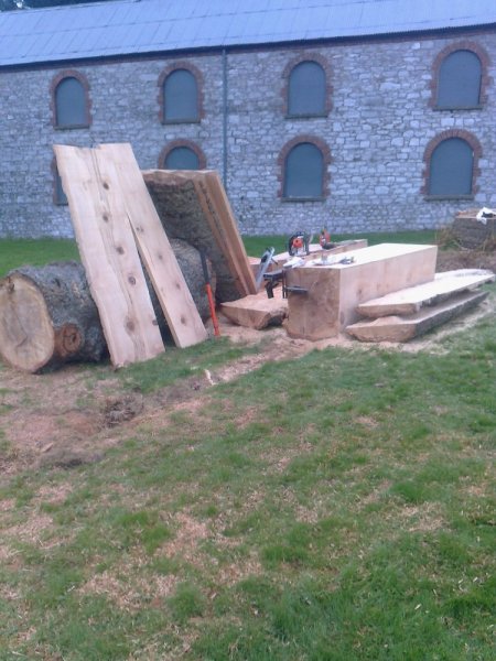 beech planks june 2012 041.jpg