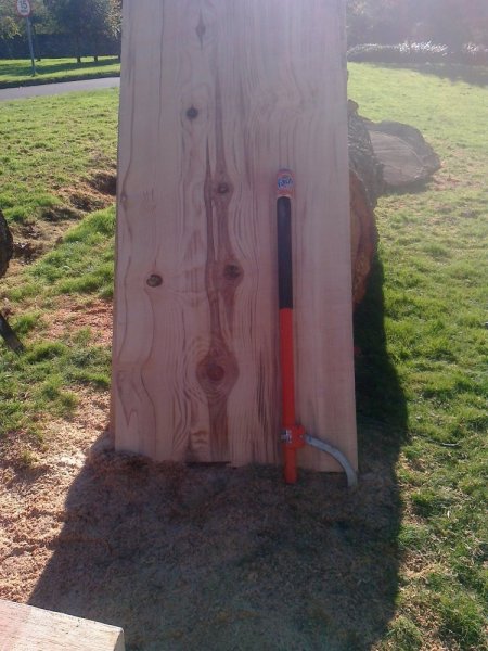 beech planks june 2012 024.jpg