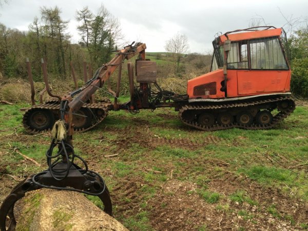 terrys i phone 2014 timber 693.JPG