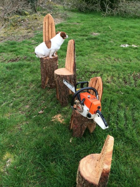 terrys i phone 2014 timber 710.JPG