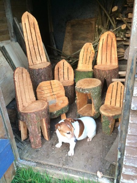 terrys i phone 2014 timber 783.JPG