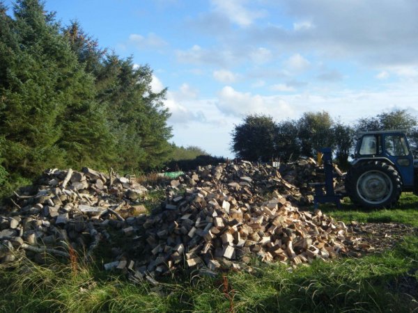 DSCF0631.jpg