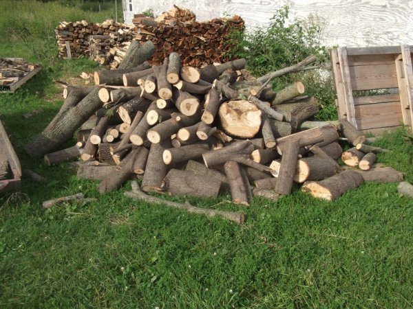 Maple score 8-26-14 001.jpg