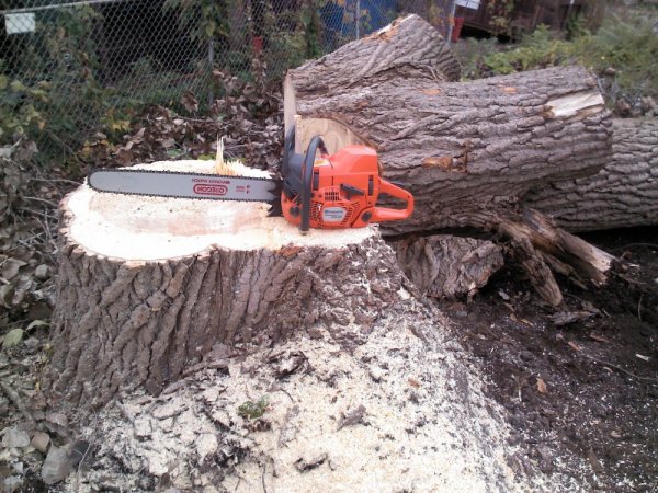 2013-10-15 17.17.23.jpg