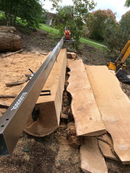 Buttavent and Croom Trees 077.JPG