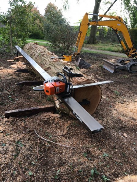 Buttavent and Croom Trees 052.JPG