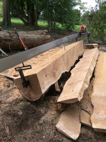 Buttavent and Croom Trees 076.JPG