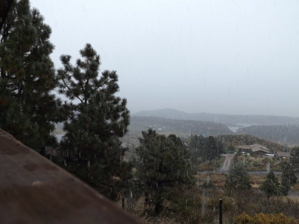 november 2013 026.JPG