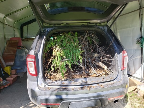 Truck full for dump after storm.jpg