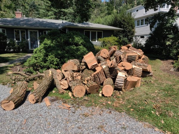 2020-08-10 14.31.18.jpg