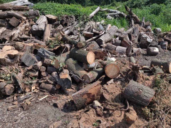 2020-08-11 10.40.58.jpg