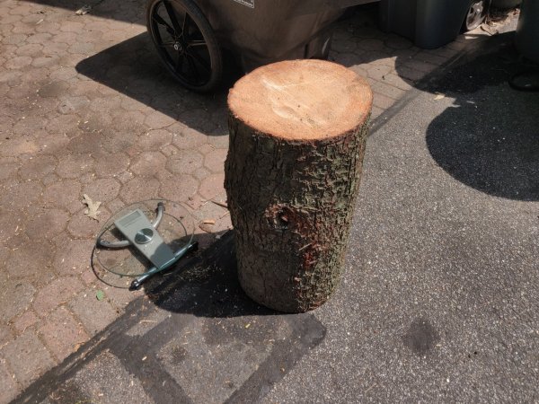 2020-08-11 11.55.21.jpg