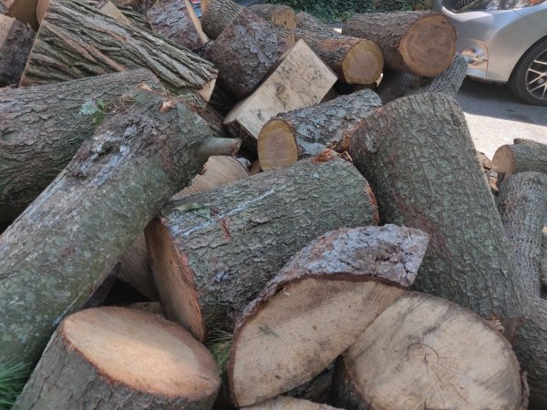 2020-08-12 14.43.27.jpg