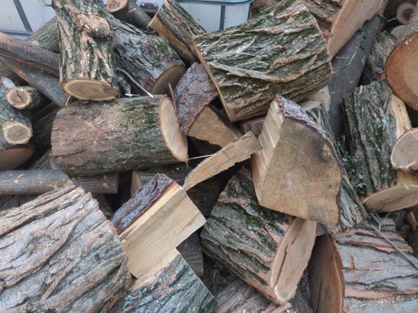 2020-08-12 14.43.46.jpg