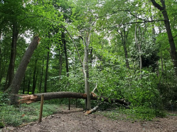 20200813_130719 (1).jpg