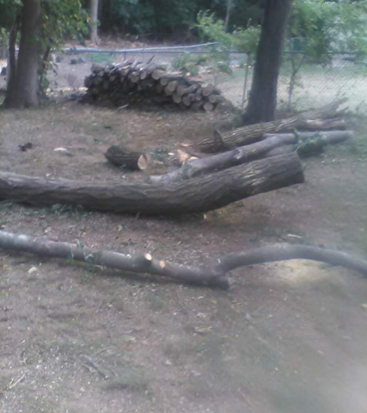 Screenshot_20200815-190134_2 (1).png