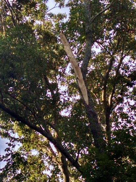 IMG_20200819_071325062_HDR.jpg