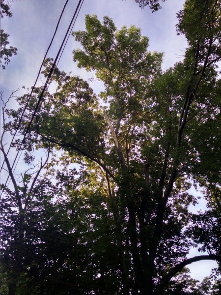 IMG_20200819_071330184_HDR.jpg