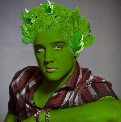 CLMwtJO.jpg