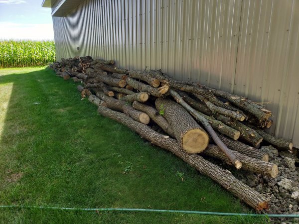 dicks  house (3).jpg