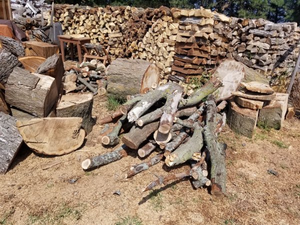 Dumped needs cut.jpg