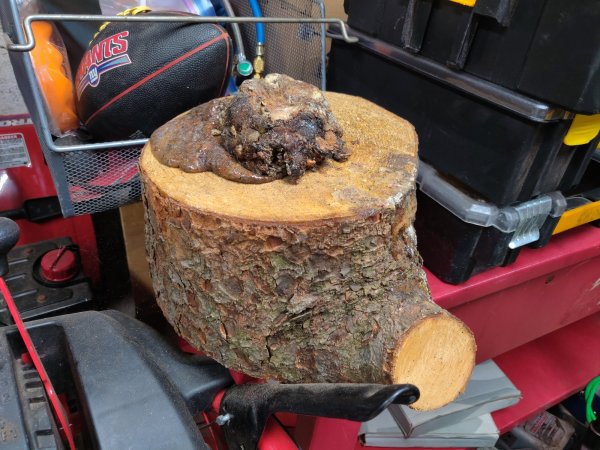 2020-08-25 20.46.27.jpg