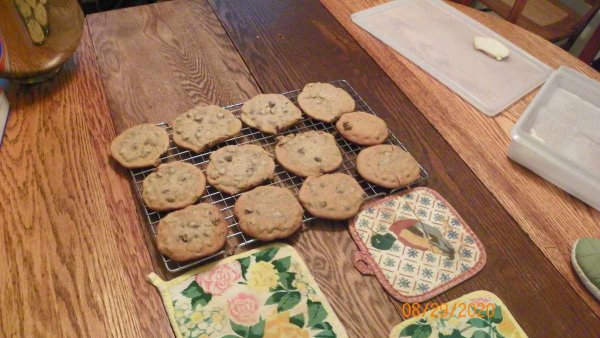 104_0716.JPG