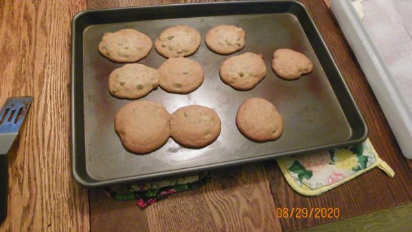 104_0717.JPG