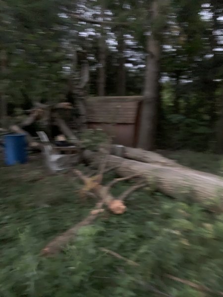 403B89E0-589F-4D9B-B713-93731A7872B8.jpeg