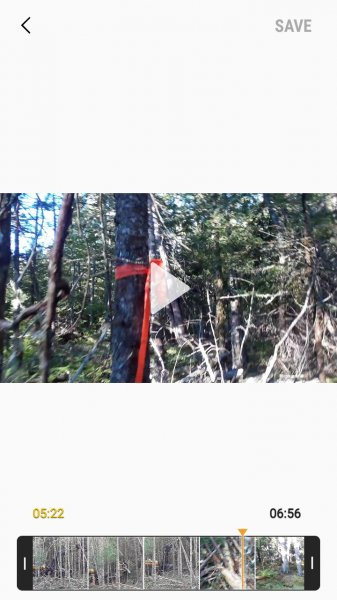 Screenshot_20200831-095322_Video trimmer.jpg